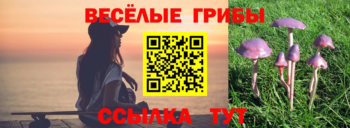 Псилоцибиновые грибы ЛСД  Вход с VPN  Псилоцибиновые грибы Psilocybe  Пугачёв 
