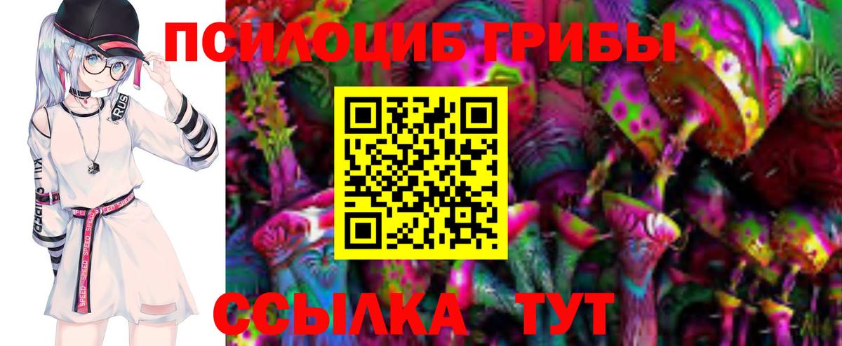 Псилоцибиновые грибы мухоморы Пугачёв