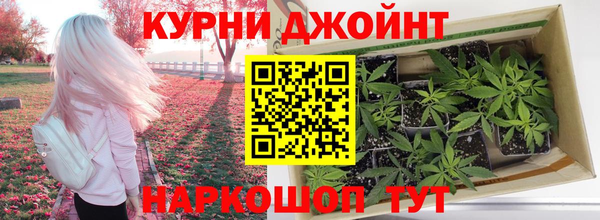 Пугачёв  Конопля индика  Бошки марихуана SATIVA & INDICA  Вход с VPN  Шишки марихуана VHQ 